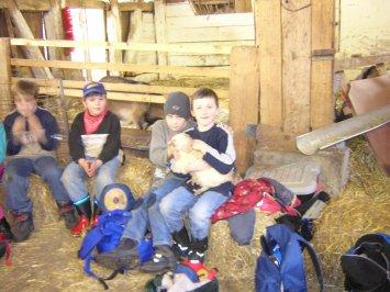Gruppenbild mit Huhn Gruppenbild mit Huhn